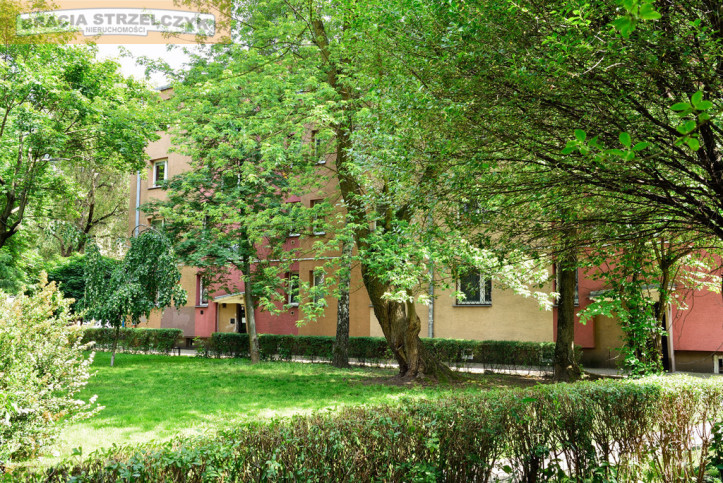 Mieszkanie Sprzedaż  Wola Niska 7